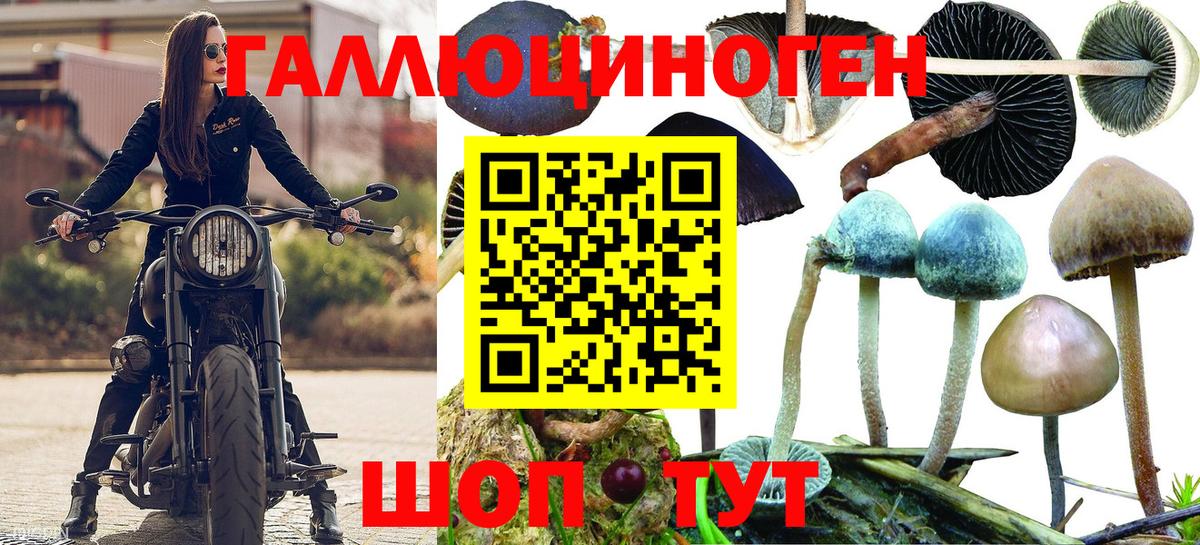 Галлюциногенные грибы ЛСД Орехово-Зуево