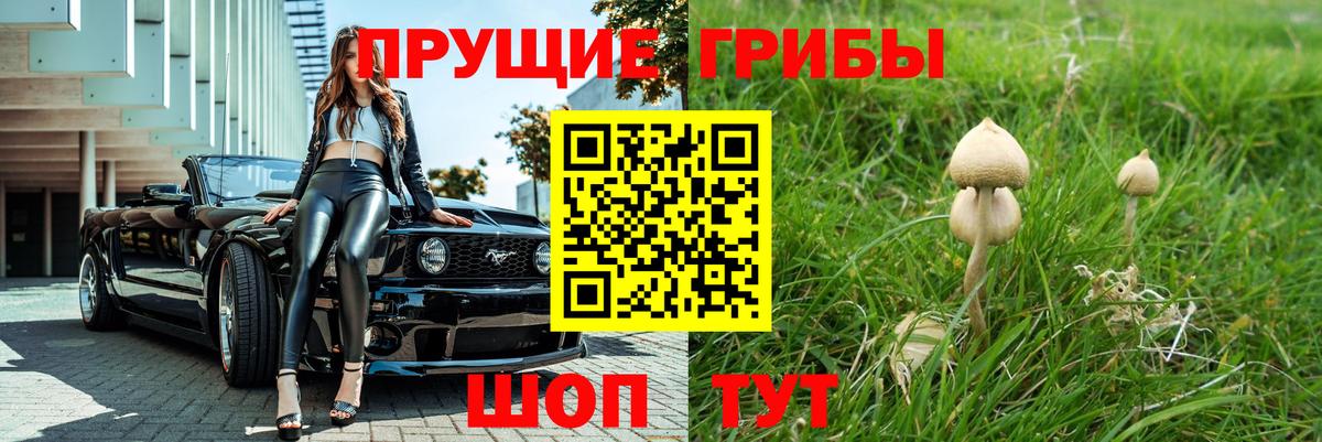 Псилоцибиновые грибы прущие грибы  Вход с VPN  Орехово-Зуево  Псилоцибиновые грибы Magic Shrooms 